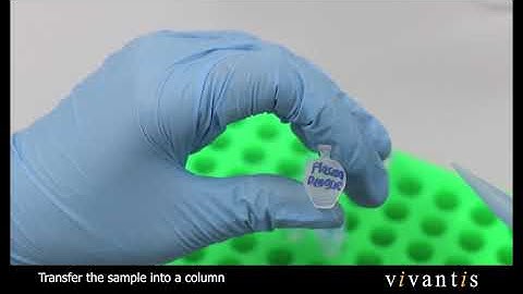 Vivantis GF 1 Viral Nucleic Acid Extraction Kit Mini Prep Protocol