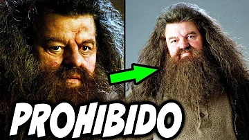 ¿Por qué Hagrid no puede hacer magia?