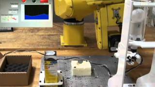 Quality Testing and Packaging of Incandescent Light Bulbs