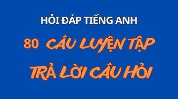 80 Câu Hỏi Đáp Mọi Thứ|Ghép Câu Thành Thạo|  Mẫu câu đơn giản sử dụng thường xuyên