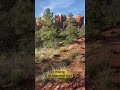 #sedona #hiking #セドナ #travel #nature #spiritual #スピリチュアル #ハイキング