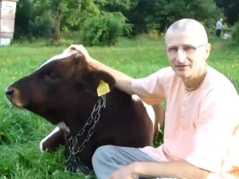 Obrazek