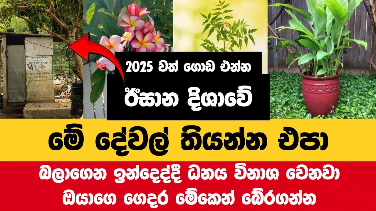 ගෙදරට ධනය උතුරවන ඊසාන දිශාව බාධා වෙලාද? වාස්තු වලට අනුව විසදගන්න. මරු නැති එකම දිශාව රැකගන්න.