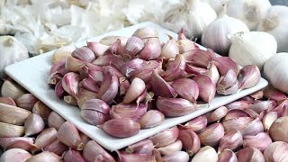 How to Store Garlic FOREVER | Garlic Storage Hack
