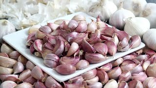 How to store or preserve garlic forever!