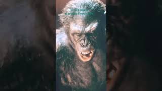 Caesar vs koba