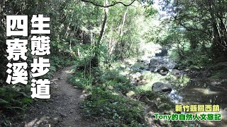 四寮溪生態步道 ☆新竹縣關西鎮