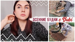 СНОВА ПЕРЕКРАСИЛАСЬ 😲 ПРИШЛО ВРЕМЯ ОБЛАГОРОДИТЬ ДВОРИК 💛