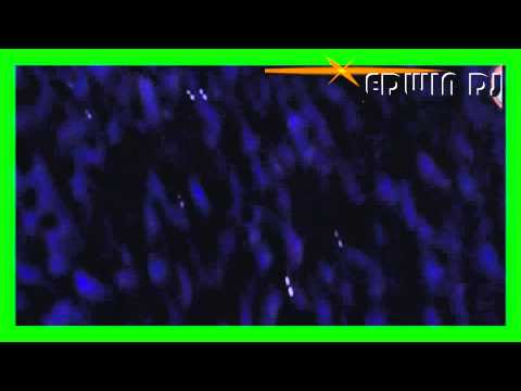 DJ DUM DEE DUM STYLE PARGOY | COCOK BUAT JOGET KARNAVALAN | BASS NYEDOT