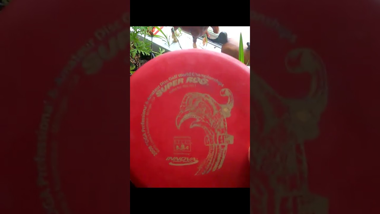 An Innova Roc Mold You Didn't Know About 
