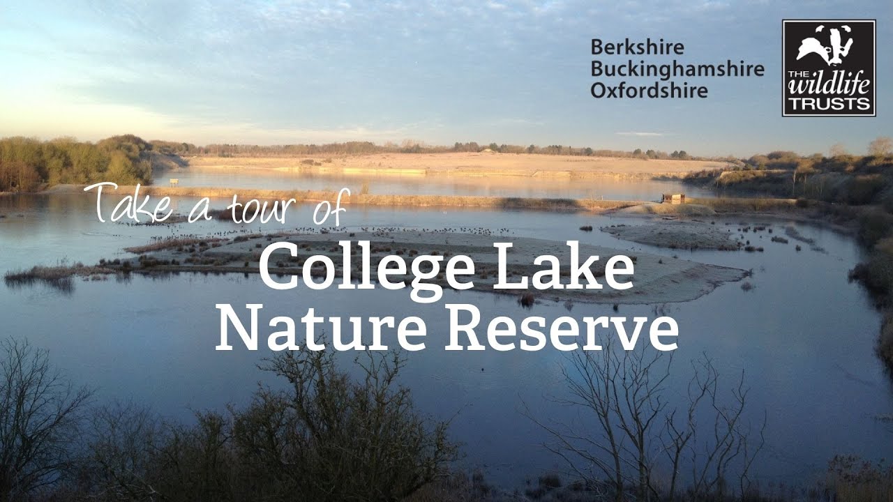 Take a tour of College Lake nature reserve