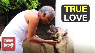 This Is How Animals Can Love Humans : BBC Hindi