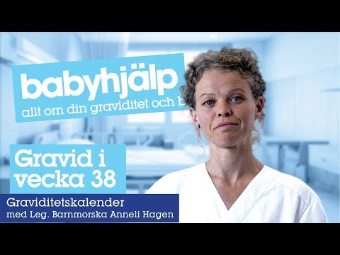 Video: 38 Graviditetsvecka: Beskrivning, Förlossare Av Förlossningen