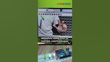 Dive into the world of gesture-controlled technology!