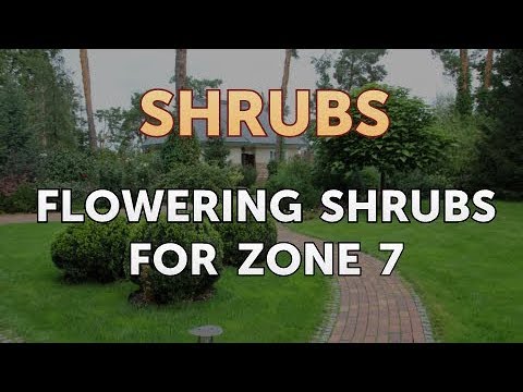 Flowering Shrubs for Zone 7