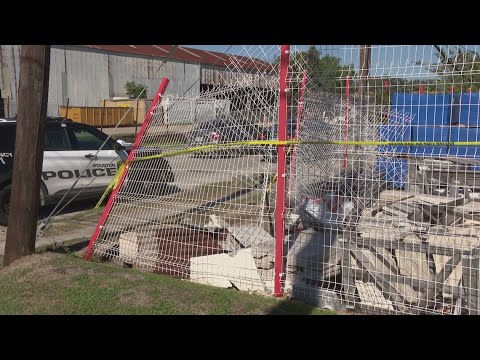 Man found dead in car riddled with bullet holes that crashed through a ...
