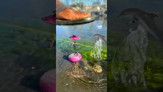 Kanda Crazy Videography Ideas