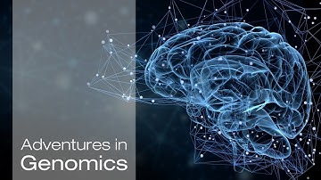 Untangling Alzheimer