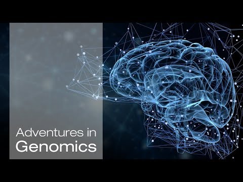 Untangling Alzheimer's Secrets | Adventures in Genomics