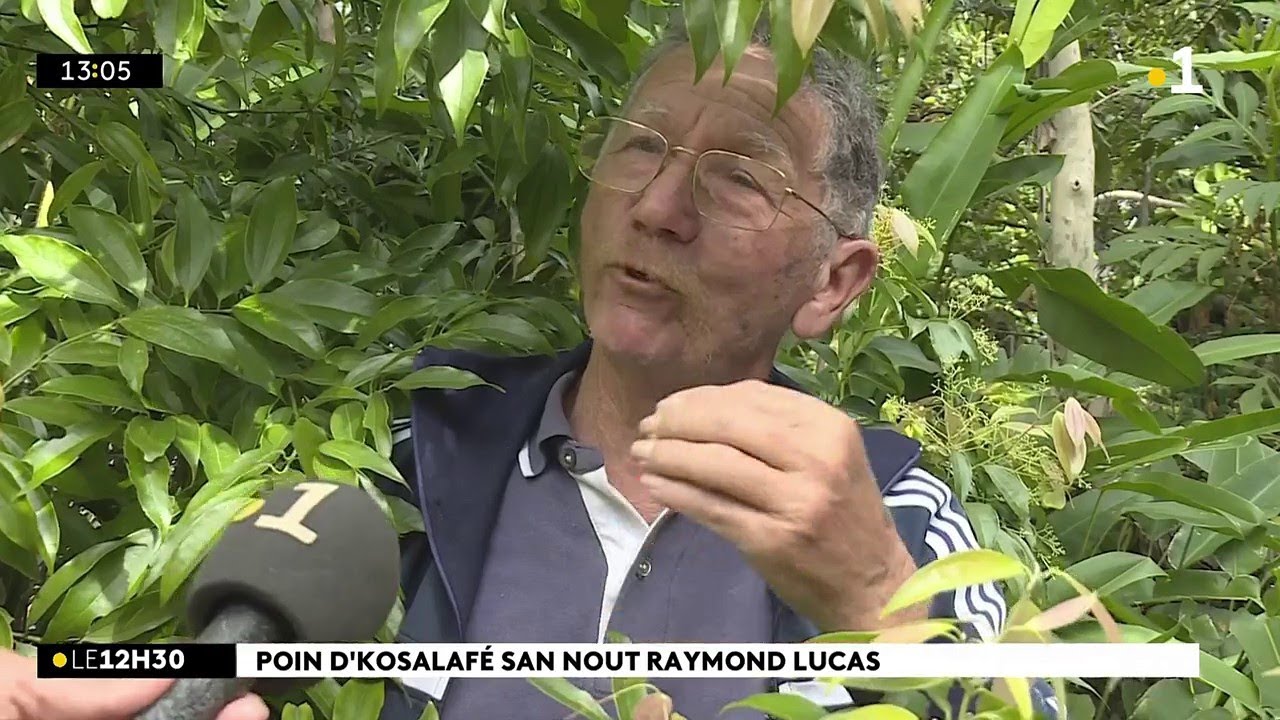 Kosalafé Raymond Lucas cannelle