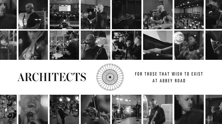 Dead Butterflies Acoustic version - Acoustic performance video thumbnail