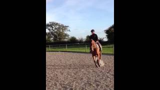Cooley for sure flatwork