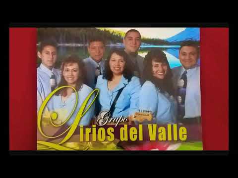Video: Forzando Lirios Del Valle En Casa