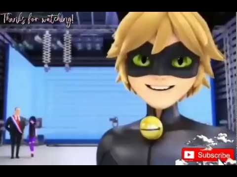 ( ladybug x cat noir ) Heart Wants What It Wants - YouTube