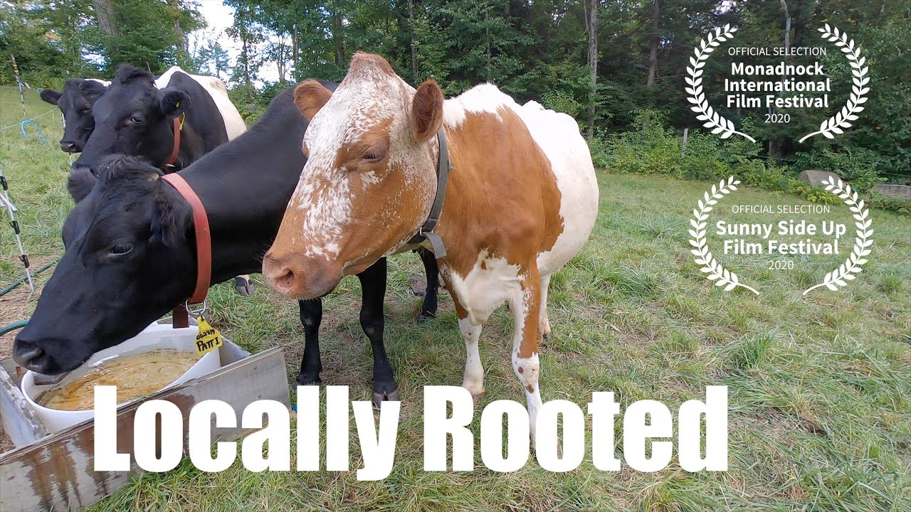 Locally Rooted. Short documentary on the farm fund thru the Monadnock Food Co-op in Keene NH.