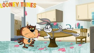 New Looney Tunes S01E24 Office Rocker | Season 1 Episode 24 | TV Series Episode Review