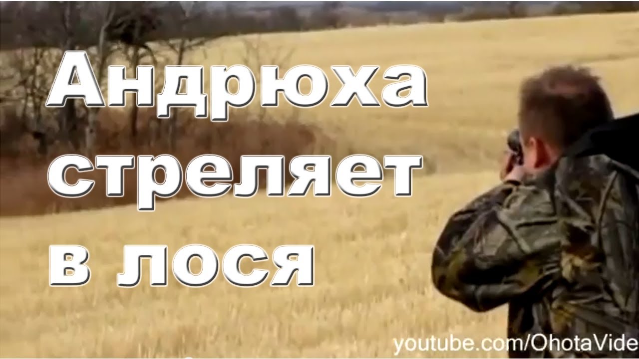 Андрюха стреляет в лося. Охота на лося на реву 20122013 Moose hunting