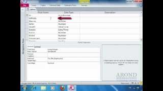 Using Access 2010 - Understanding Field Sizes Profile