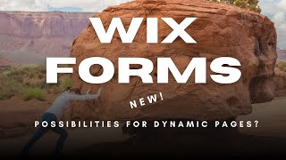 The Power of Wix Forms: Tips, Rules & a Real Listing Example