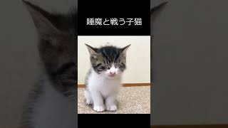 ゆらゆら #horts