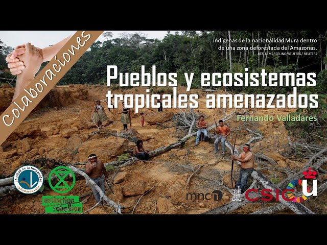 32 - Pueblos y ecosistemas tropicales amenazados  - Colaboraciones