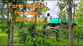1,200 SQM. FARM HOUSE FOR SALE (PROP#177), DOLORES, QUEZON