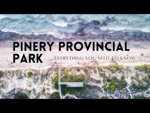 Video: Er der bjørne i Pinery Provincial Park?