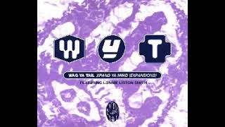 Wag Ya Tail Featuring Lonnie Liston Smith – Xpand Ya Mind (Expansions)Electic Groove Mix