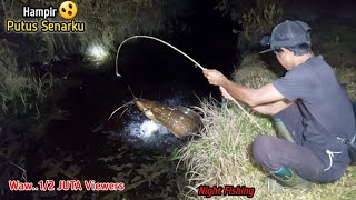 CREEPY NIGHT FISHING IN THE BITCHES IGNORED THE FISH IS TOO BIG || LOW NIGHT FISHING