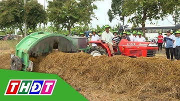 Quản lý rơm rạ - Giải pháp canh tác nông nghiệp bền vững | THDT