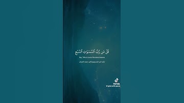 سورة المؤمنون الآية 83-89 | قل لمن الأرض ومن فيها#قران كريم