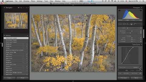 Curves in Lightroom and Camera Raw - Part 2 by Michael Frye