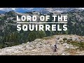 Lord Of The Squirrels. Beautiful Alpine Mtb in Whistler