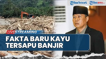 🔴Kemenhut Klarifikasi Dugaan Pidana Kayu Tersapu Banjir, Terungkap Alasan Belum Berstatus Darurat