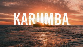 Karumba Prawns