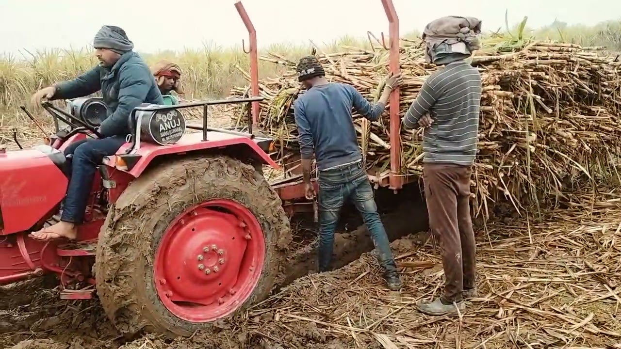 महिन्द्रा 265 ने निकाली गन्ने की ट्राली 