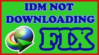 idm video download problem | idm bar not showing - idm extension solution