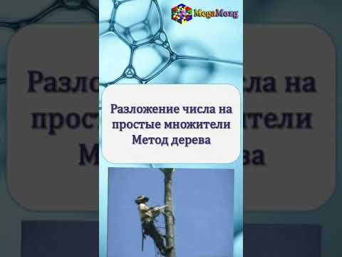 Разложение числа на простые множители. Метод дерева | Математика за 60 секунд #shorts