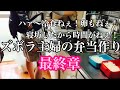 弁当作り最終日【ダラ奥ダメ主婦団地妻】