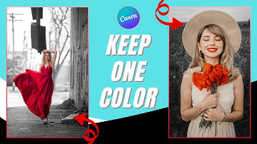 How to Create Black & White Image with a One Color in Canva | Canva Tutorial